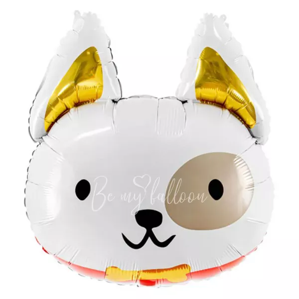 23 "احباط الكلب