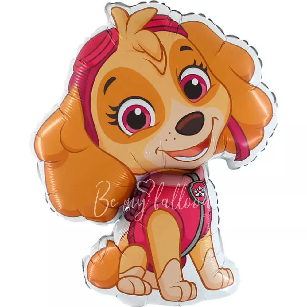 32 "باو باترول سكاي