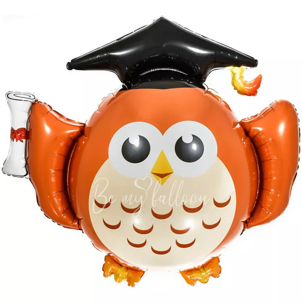 32 " البومة الذكية