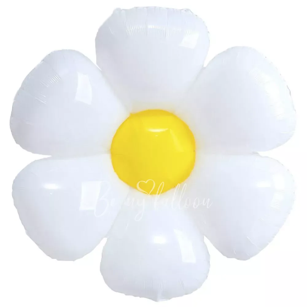 43 " زهرة البابونج