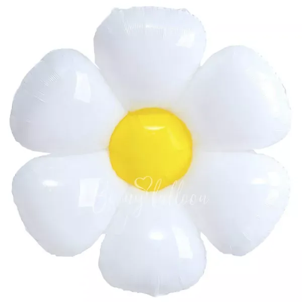 43 " زهرة البابونج